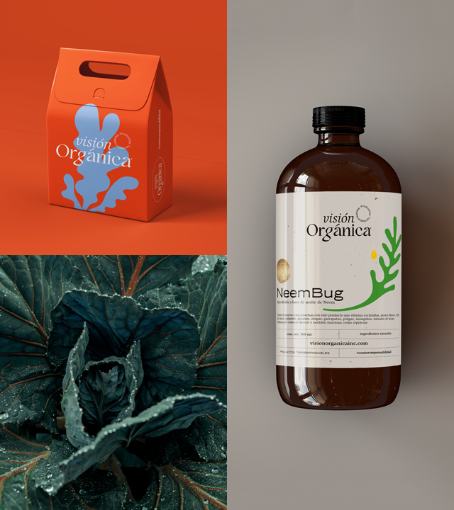 Agencia Branding The Brand Evo