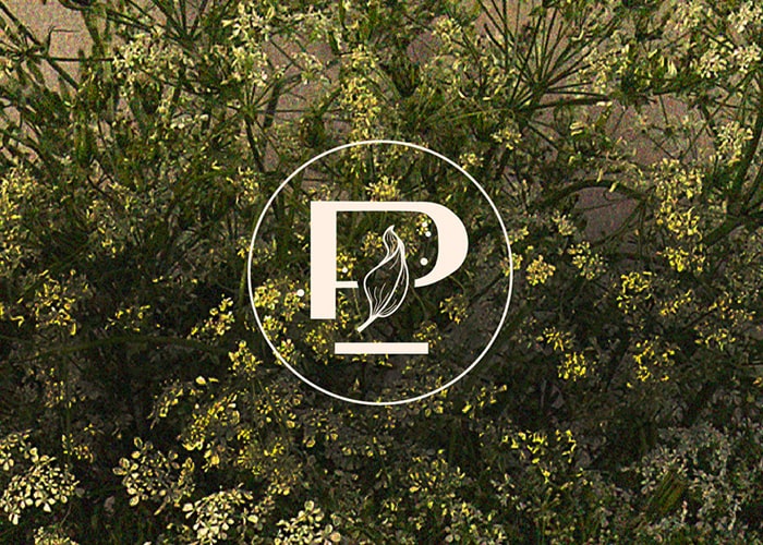 Diseño de Marca Peregreena