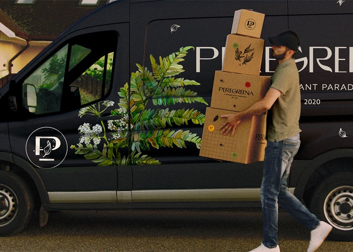 Diseño de Marca de Peregreena