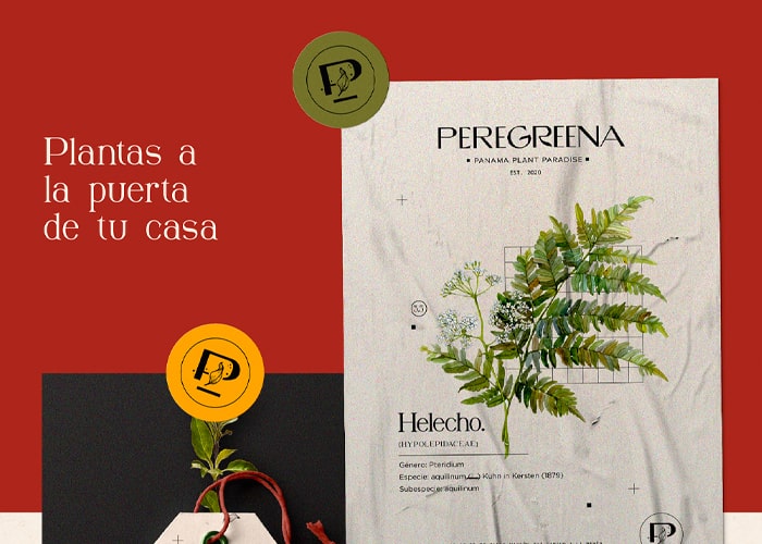 Diseño de Marca de Peregreena